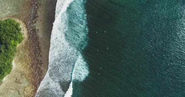Shora dolů letecký záběr na živém mořském písku a kokosových stromech. Ptačí oko na pobřeží divoké tyrkysové a tropický ostrov. — Stock video