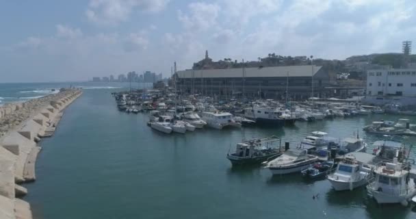 Flygfoto över hamnen marinan vik med båtar och båtar parkering eller förtöjda. Medelhavsturism Travel fotograferas med Tel aviv Jaffa i bakgrunden — Stockvideo