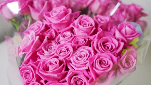 Roze Roos Bloemen Close Bewegende Macro Shot Van Roze Rozen — Stockvideo