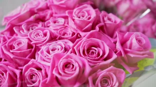 Rosa Rosa Floral Primer Plano Movimiento Macro Disparo Rosas Rosadas — Vídeos de Stock