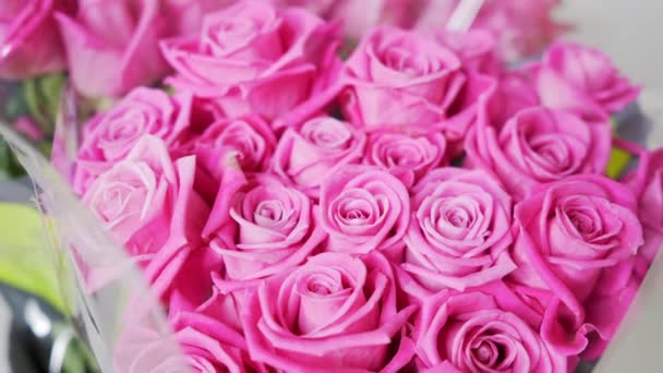 Ροζ Τριαντάφυλλο Λουλούδια Closeup Μετακινούμενη Μακρο Φωτογραφία Ροζ Τριαντάφυλλων Ρομαντικό — Αρχείο Βίντεο