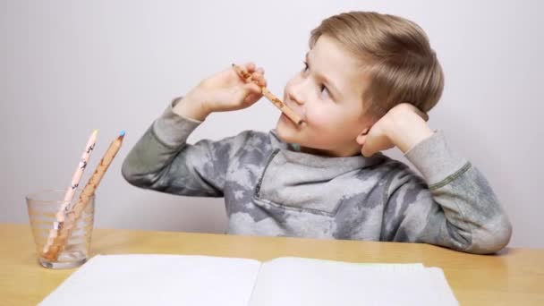 ノートに絵を描き 書く幸せな美しい少年 白人の子供は集中し 研究する 宿題をする — ストック動画