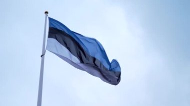 Rüzgarda dalgalanan Estonya bayrağı mavi bir arka planda. Estonya bayrağı. Mavi gökyüzünün önünde Estonya 'nın ünlü bayrağını sallayarak. 