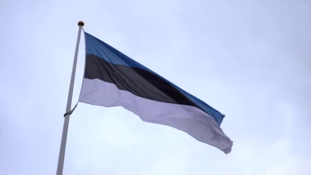 エストニアの国旗が青空を背景に風に吹かれている エストニア共和国の国旗 青空の前でエストニアの有名な旗を振って — ストック動画