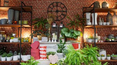 Süslemeleri olan güzel bir atmosfer çiçekçisi. Bitkiler, çömlekler ve mobilyalarla süslü iç tasarım.