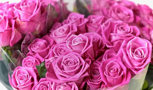 Eine Nahaufnahme Mit Rosa Rosen Makroaufnahme Von Rosa Rosen Romantische — Stockfoto