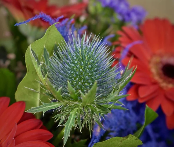 Beautiful Floral Arrangement Bouqet Composition Mixed Flowers Chrysanthemum — Stock Photo, Image