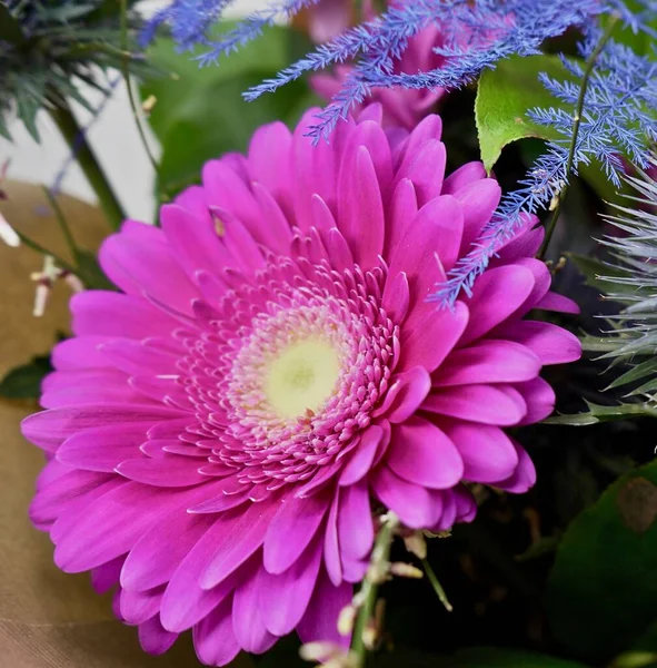 Beautiful Floral Arrangement Bouqet Composition Mixed Flowers Chrysanthemum — Stock Photo, Image