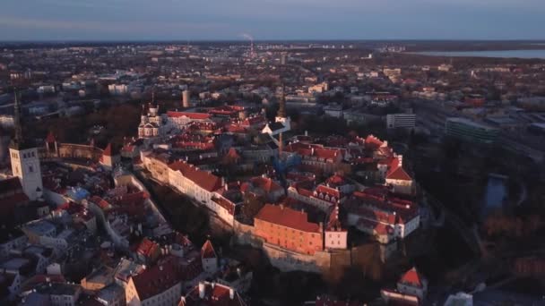 Вид Воздуха Старый Город Таллинна Столица Эстонии Беспилотника Красивый Средневековый — стоковое видео