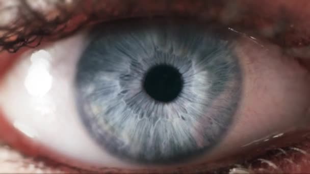 Primer Plano Ojo Humano Acercándonos Iris Ocular Micro Disparo — Vídeo de stock