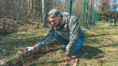 Bahçede çalışan gülümseyen yakışıklı bahçıvan. Güneşli bir günde bahçesiyle ilgilenen bir adamın portresi.. 