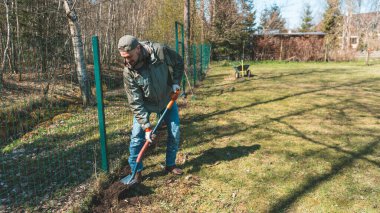 Arka bahçesinde çalışan yakışıklı, güçlü bir bahçıvan. Bahçe düzenleyen ve güneşli bir günde bahçesiyle ilgilenen adam.. 