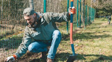 Arka bahçesinde çalışan yakışıklı, güçlü bir bahçıvan. Bahçe düzenleyen ve güneşli bir günde bahçesiyle ilgilenen adam.. 