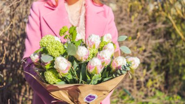 Güzel ve egzotik çiçekleri elinde tutan zarif bir kadın. Dondurma laleleri yakın çekim. Çiçek teması.