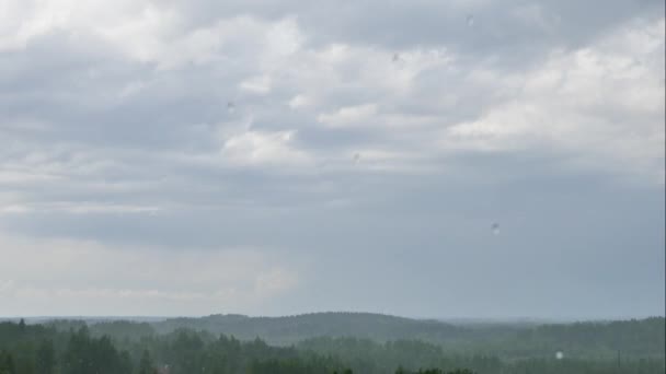 Lapso Tiempo Panorámico Aéreo Lluvia Verano Sobre Bosque Verde Las — Vídeos de Stock