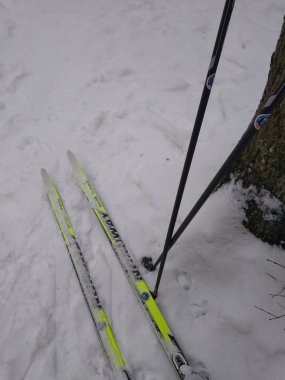 Krasnogorsk ormanında kayak yapmak