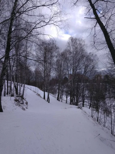 Krasnogorsk森林里的滑雪 — 图库照片