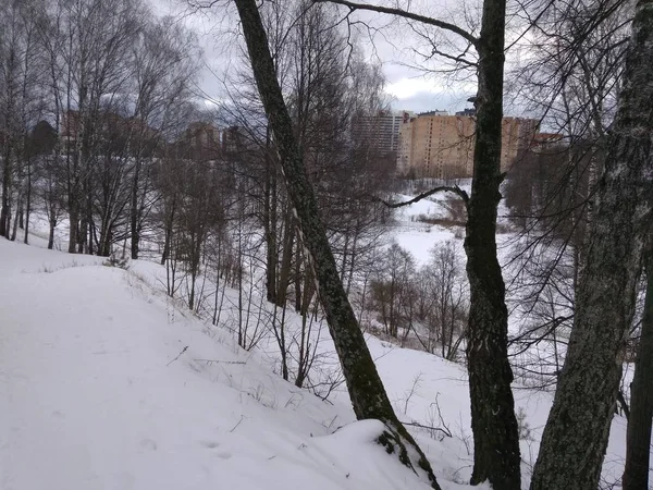 Ski Dans Forêt Krasnogorsk — Photo