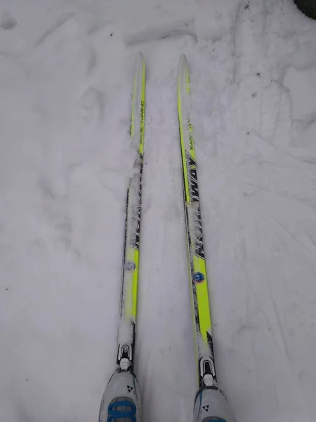 Катание Лыжах Лесу Красногорска — стоковое фото