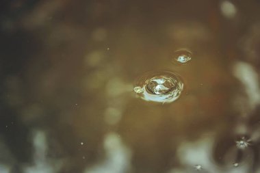 Bubble in a muddy puddle during autumn rain. Rain bubble in a puddle. This phenomenon is often observed during autumn rains