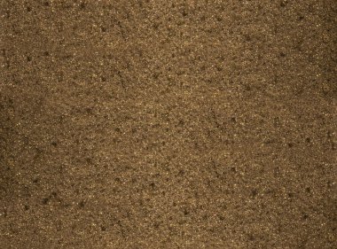 Kahverengi sünger dokusu. Özgeçmiş için. Kapatın. Beyaz sünger doğal desen dokusu arka plan için soyut. Makro.