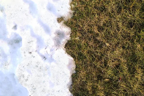 Begegnung mit weißem Schnee und grünem Gras aus nächster Nähe - zwischen Winter und Frühling. konzeptionelles Bild über den Frühling. Selektiver Fokus. Hintergrund mit Kopierraum. Ansicht von oben — Stockfoto