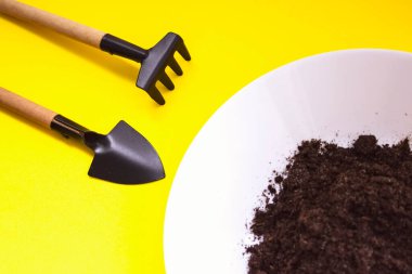 Minyatür bahçe aletleri, tabakta sarı arka plan var. Evde bahçıvanlık, gelişen adım konsepti. Bitki Yetiştirme ve Büyüme