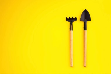 Spatula ve tırmıklar tarımsal bitki nakli için. Uzayı kopyala, filizlen, yetiştir. Tarım, bahçıvanlık. Üst görünüm