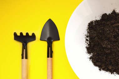 Minyatür bahçe aletleri, tabakta sarı arka plan var. Evde bahçıvanlık, tohum ekmek, tarım. Tarım, bahçıvanlık. Kapatın. Bitki yetiştirme ve büyüme. Yakın plan