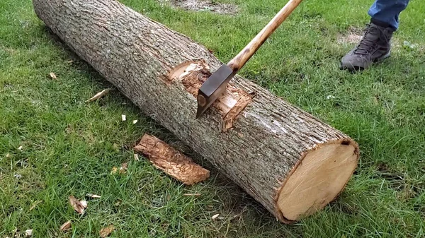 Man cutting wood with axe in forest