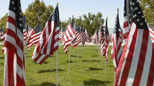 Αμερικάνικες Σημαίες Στην Αυλή Πράσινο Γρασίδι Ομάδες Των Ηπα Σημαίες — Φωτογραφία Αρχείου