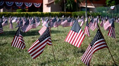 Yeşil çimlerin üzerinde Amerikan bayrakları. Parkta ABD bayrakları
