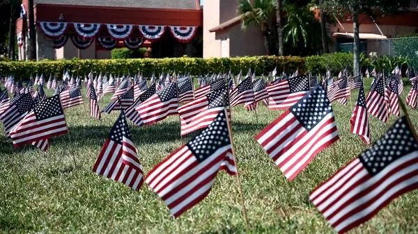 Amerikanische Flaggen Auf Grünem Rasen Gruppen Von Usa Fahnen Park — Stockfoto