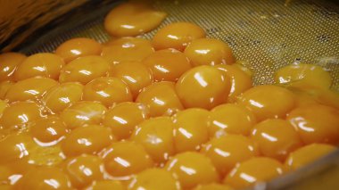 ayrı yumurta sarısı yakın çekim