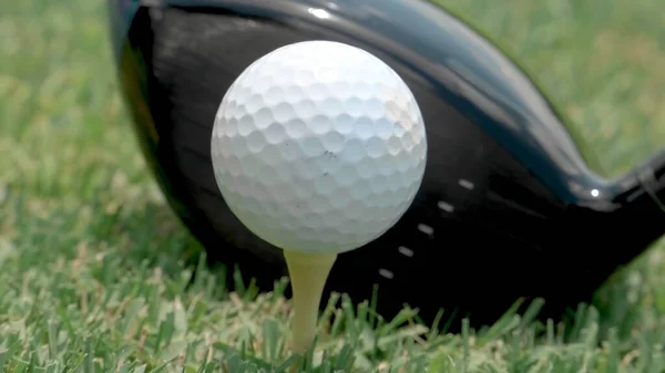 Close Van Hout Golfbal Tee — Stockfoto