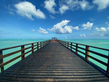 Sıcak mevsimde sonsuz okyanus