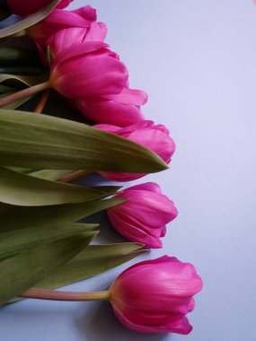 Renkli bir yüzeyde bir buket lale düzeni