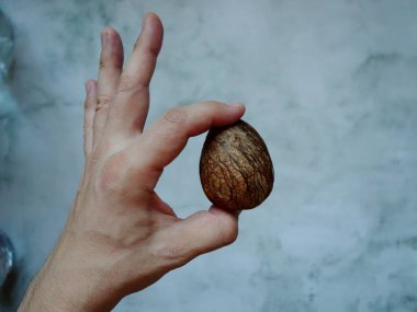 Avokado kemiği hafif arkaplanda