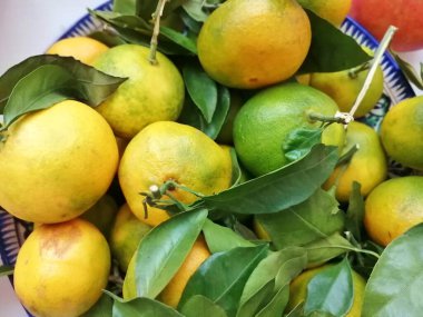 Tabakta bir Mandarin yerleşimi (mandalina))