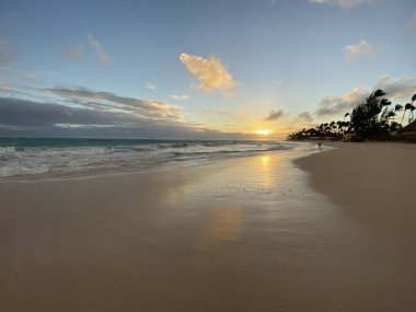 Sıcak ülkelere seyahate çıkmış deniz tatilleri ve plajların çizimleri.