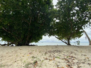 Sıcak ülkelere seyahate çıkmış deniz tatilleri ve plajların çizimleri.