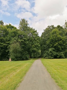 Ekolojik olarak temiz bir orman parkında yürümek için bir yol.