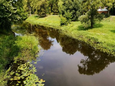 Doğal bir Park 'ta yeşil kıyıları olan güzel nehir manzarası.