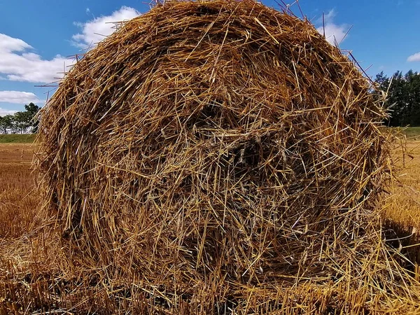 Valsade Borgar Fält Efter Skörd — Stockfoto