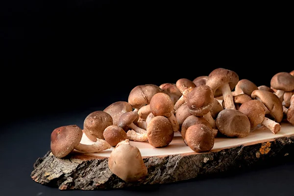 Shiitaki Mushrooms Wooden Cut — Stock Photo, Image