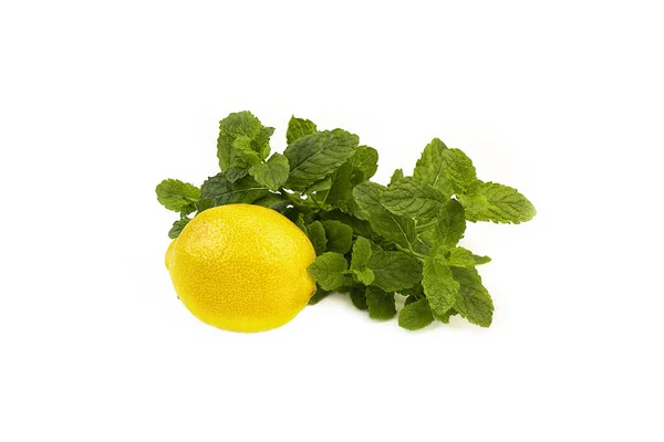 Menta Con Limón Sobre Fondo Blanco — Foto de Stock