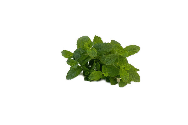 Fresh fragrant mint on white background