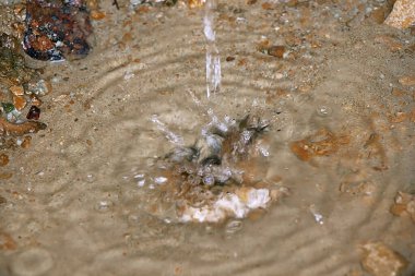 Temiz kaynak suyu kum ve taşlara dökülür.