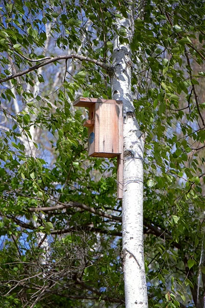 Holzhaus Für Vögel Steht Auf Holz — Stockfoto