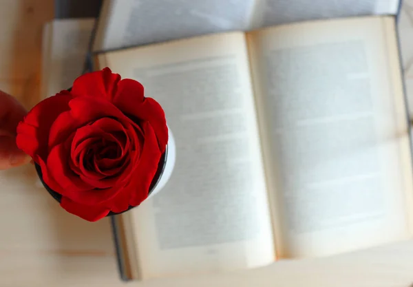 Vermelho Subiu Uma Xícara Com Fundo Livros Abertos Sant Jordi — Fotografia de Stock